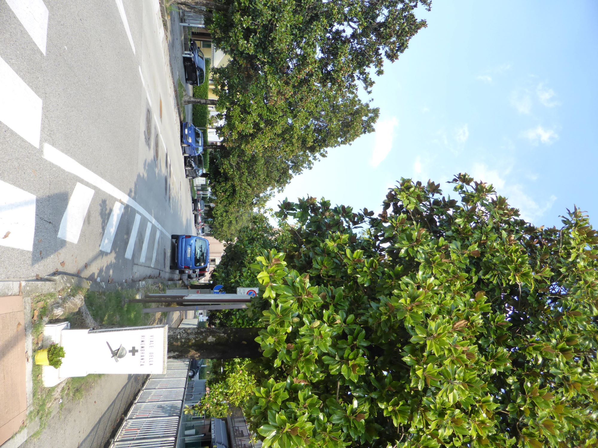 Viale della Rimembranza di Limena