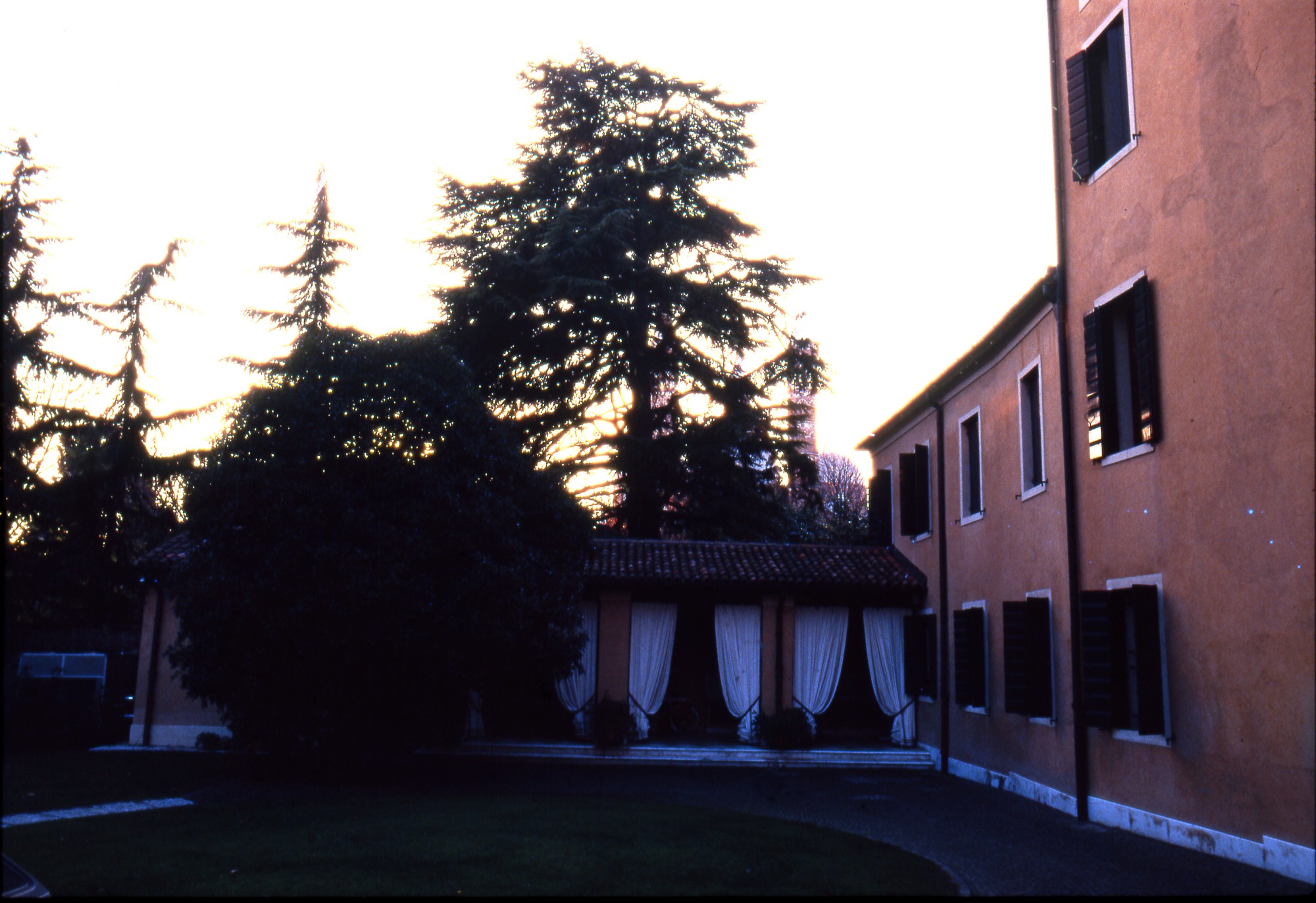 Contarini