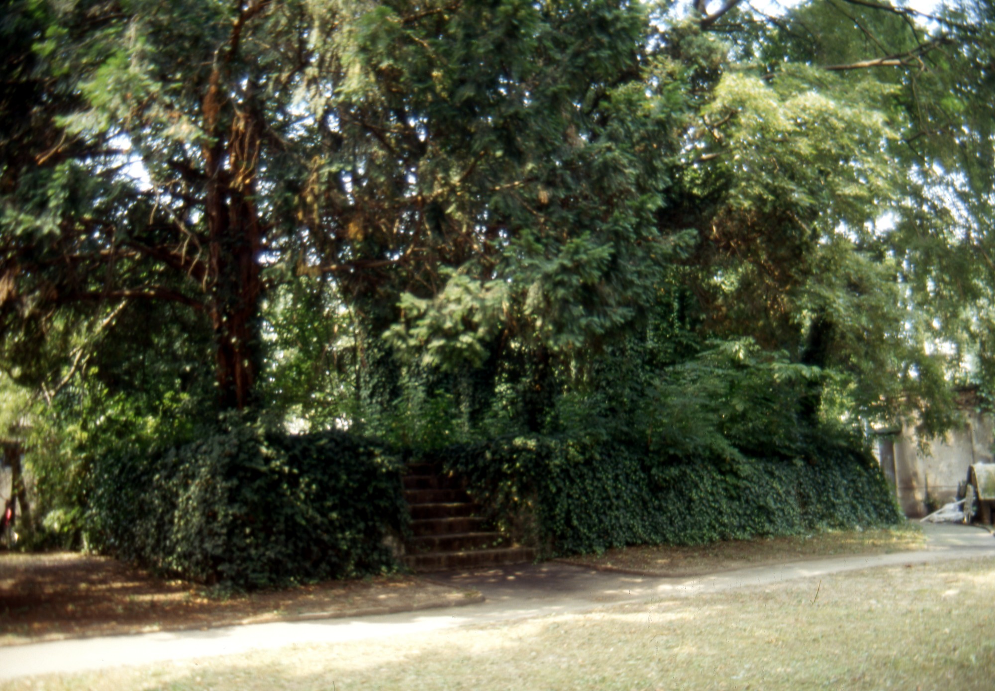 Di Palazzo Maldura , Mussato