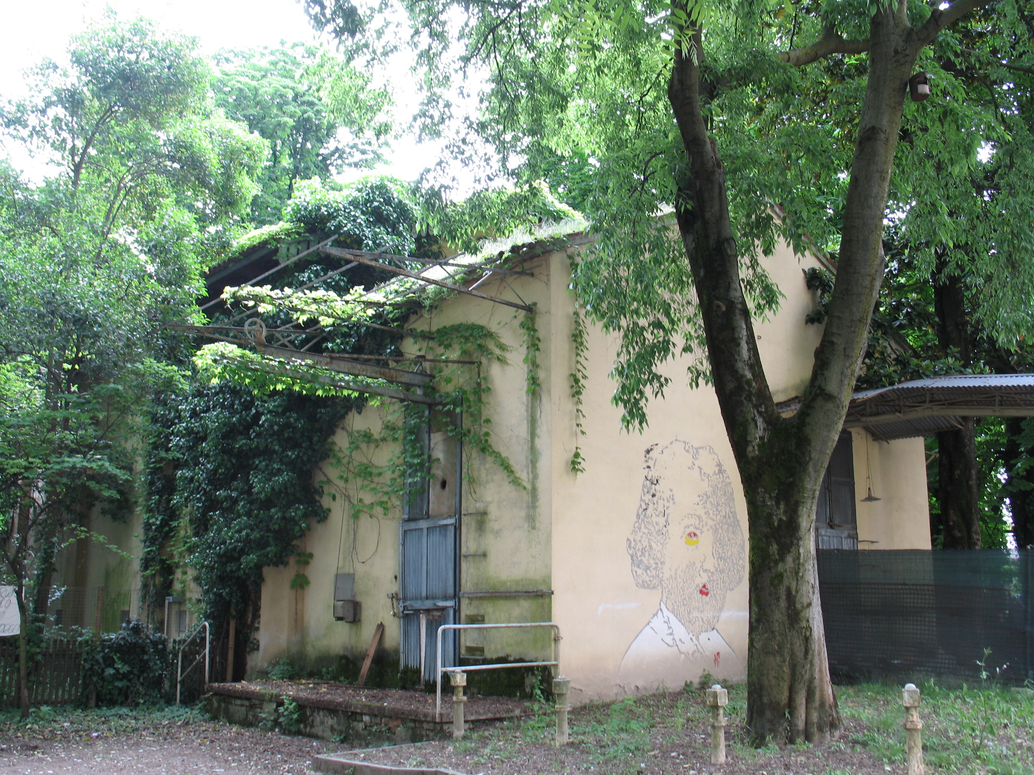 Macellazione ovini