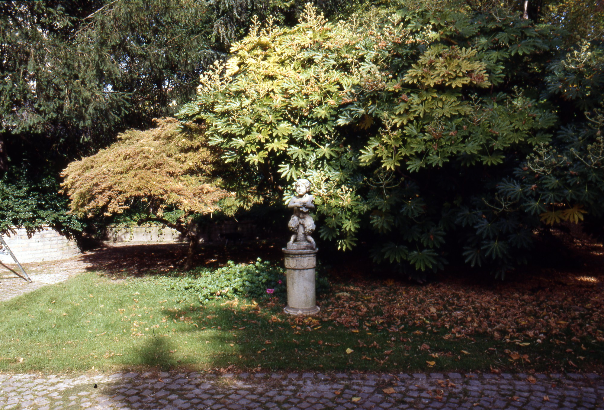 Sartori