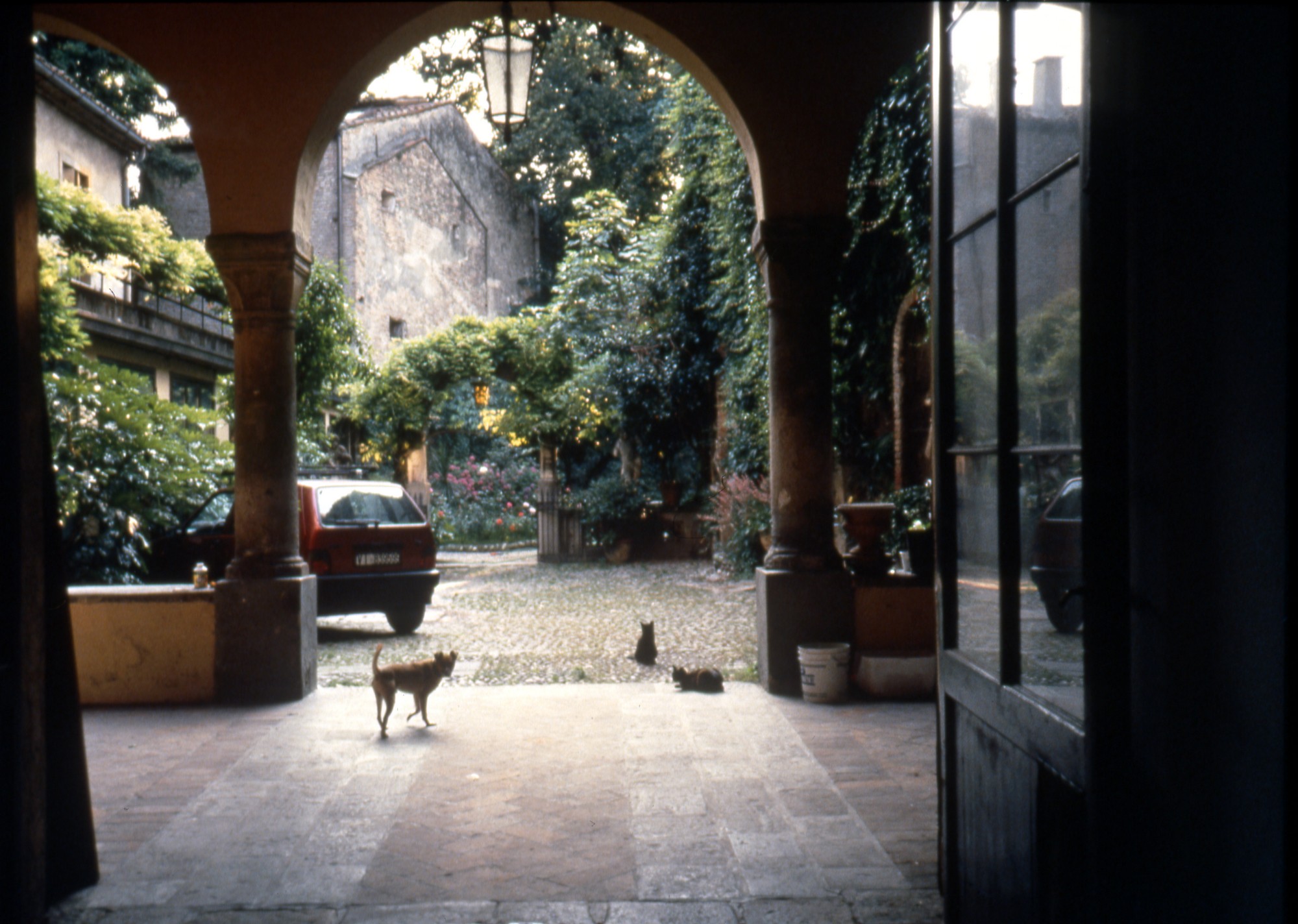 di palazzo Marzari