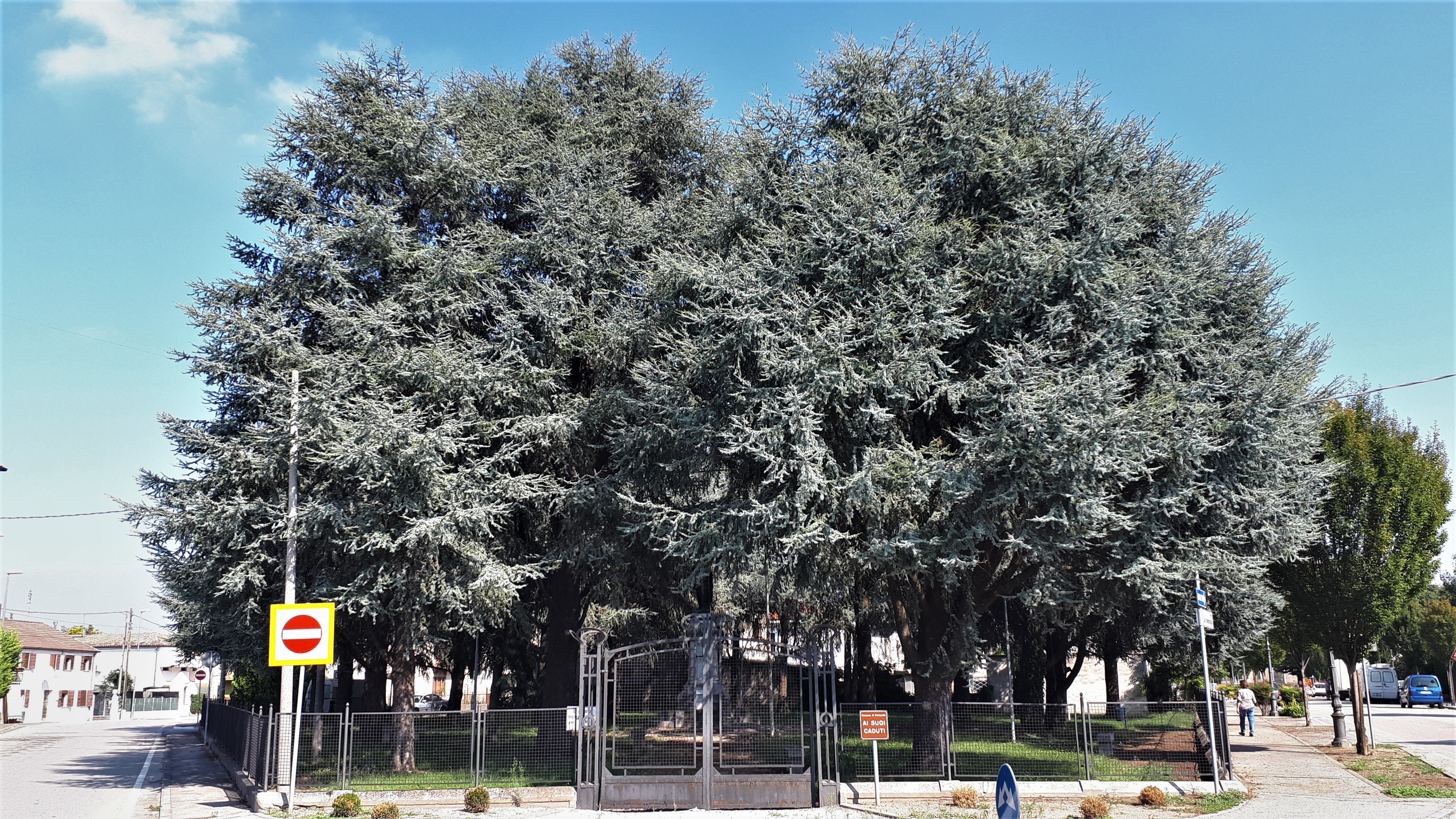 Parco della Rimembranza di Pernumia