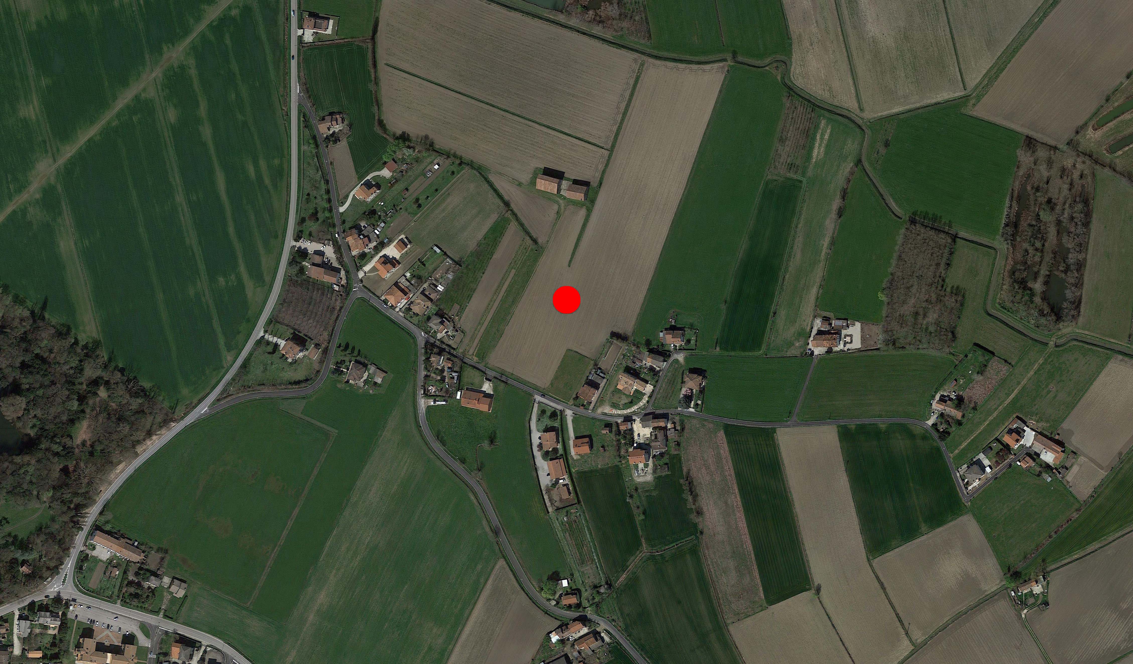 S. Elena, Bosco