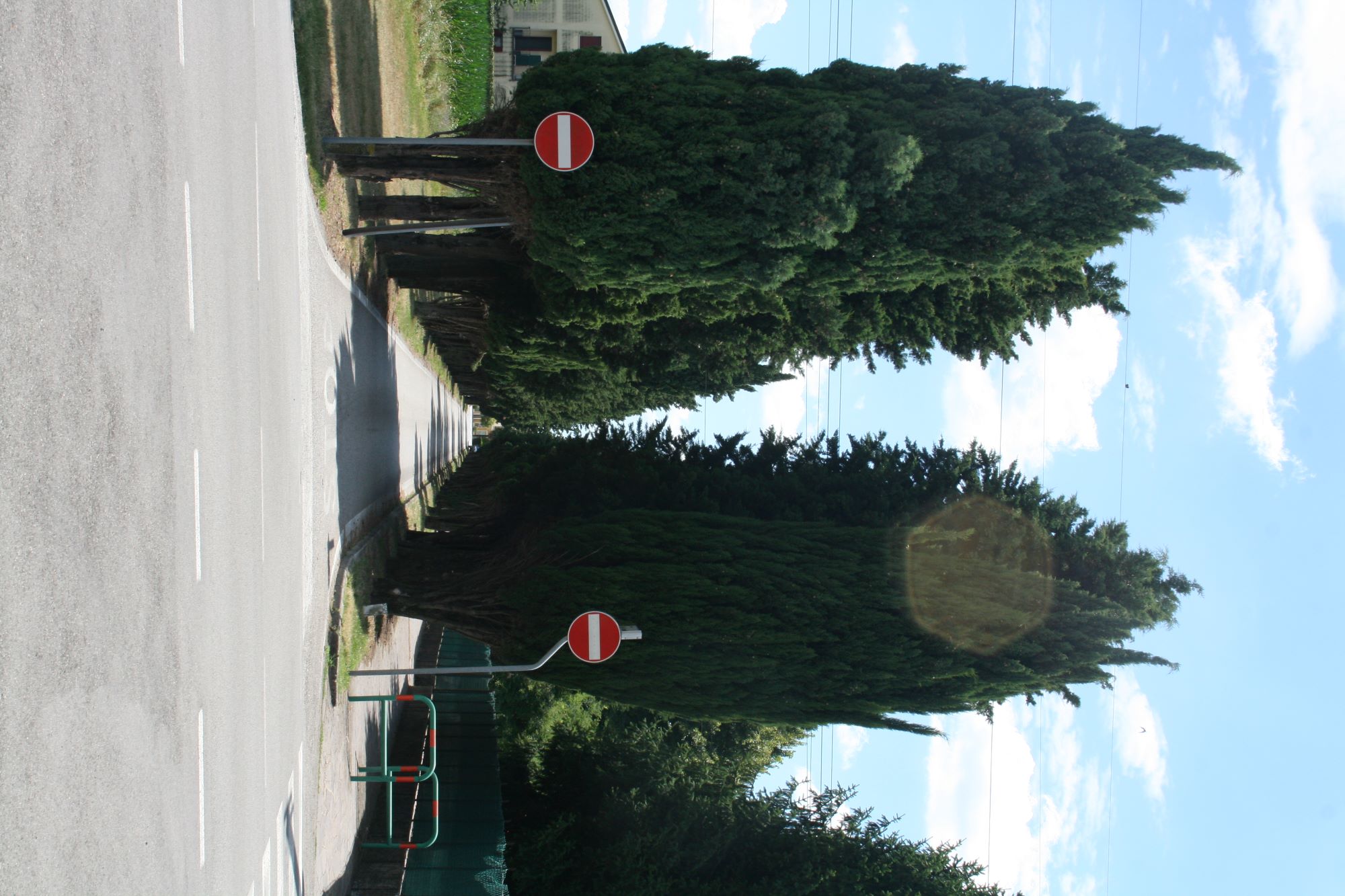 Viale delle Rimembranze di Vigonza