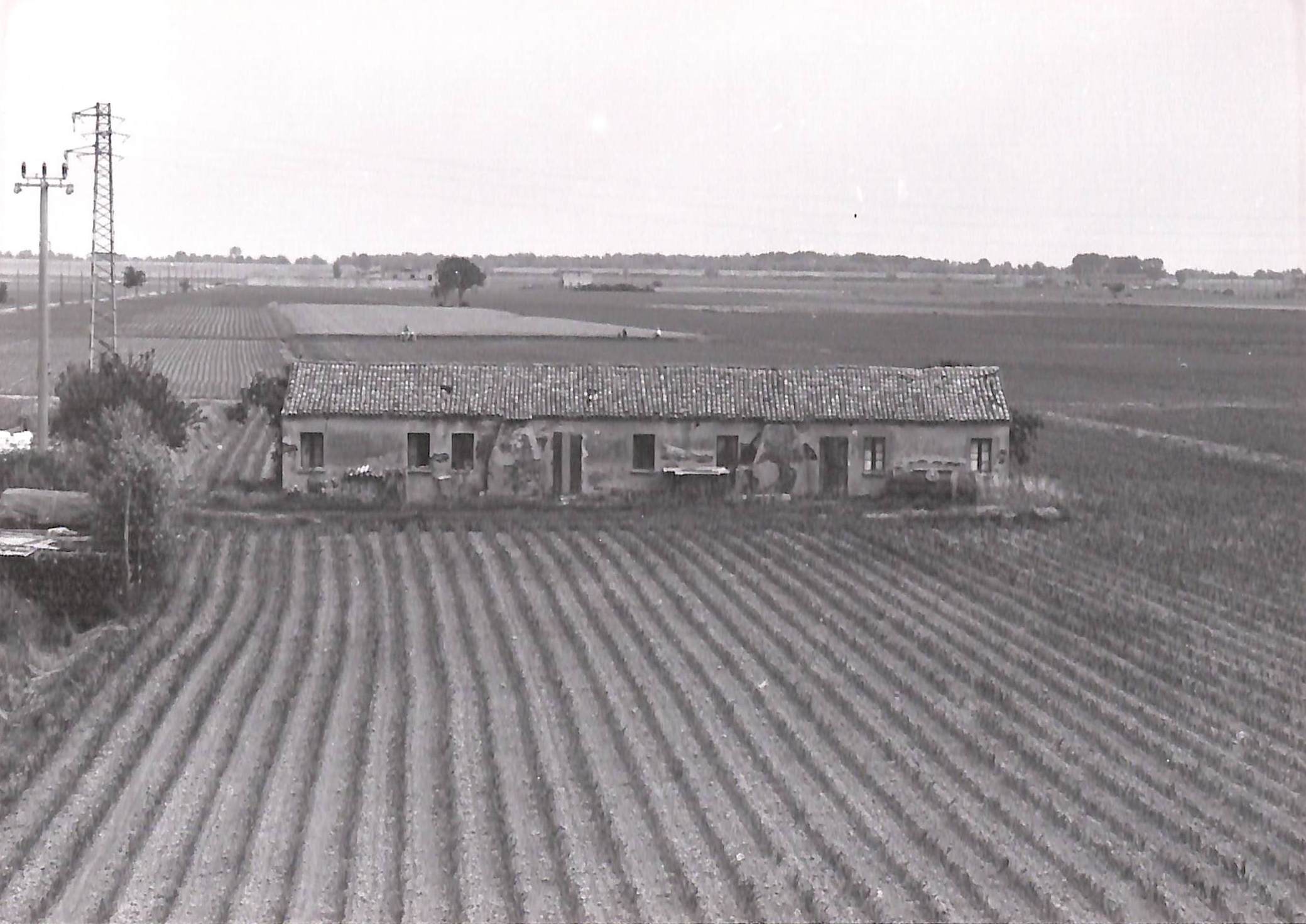 Casa Fasanara