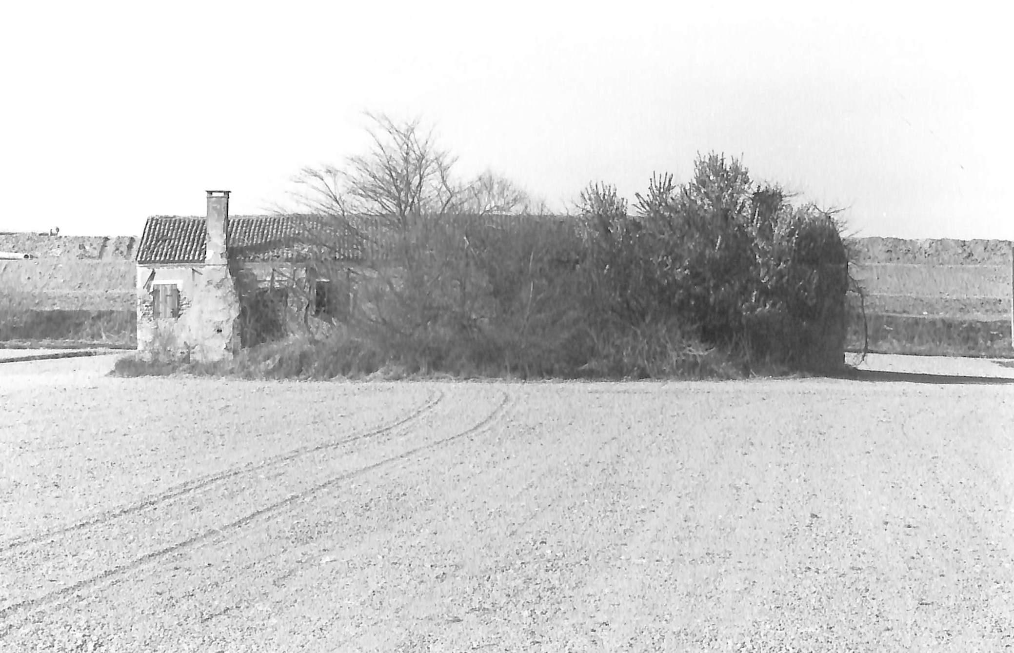 casa, rurale