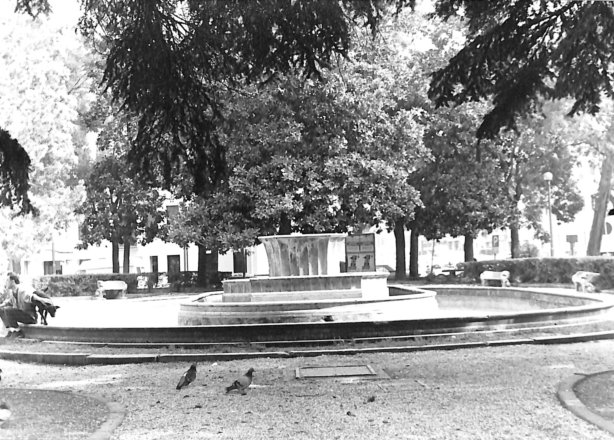 Fontana di Piazza Merlin