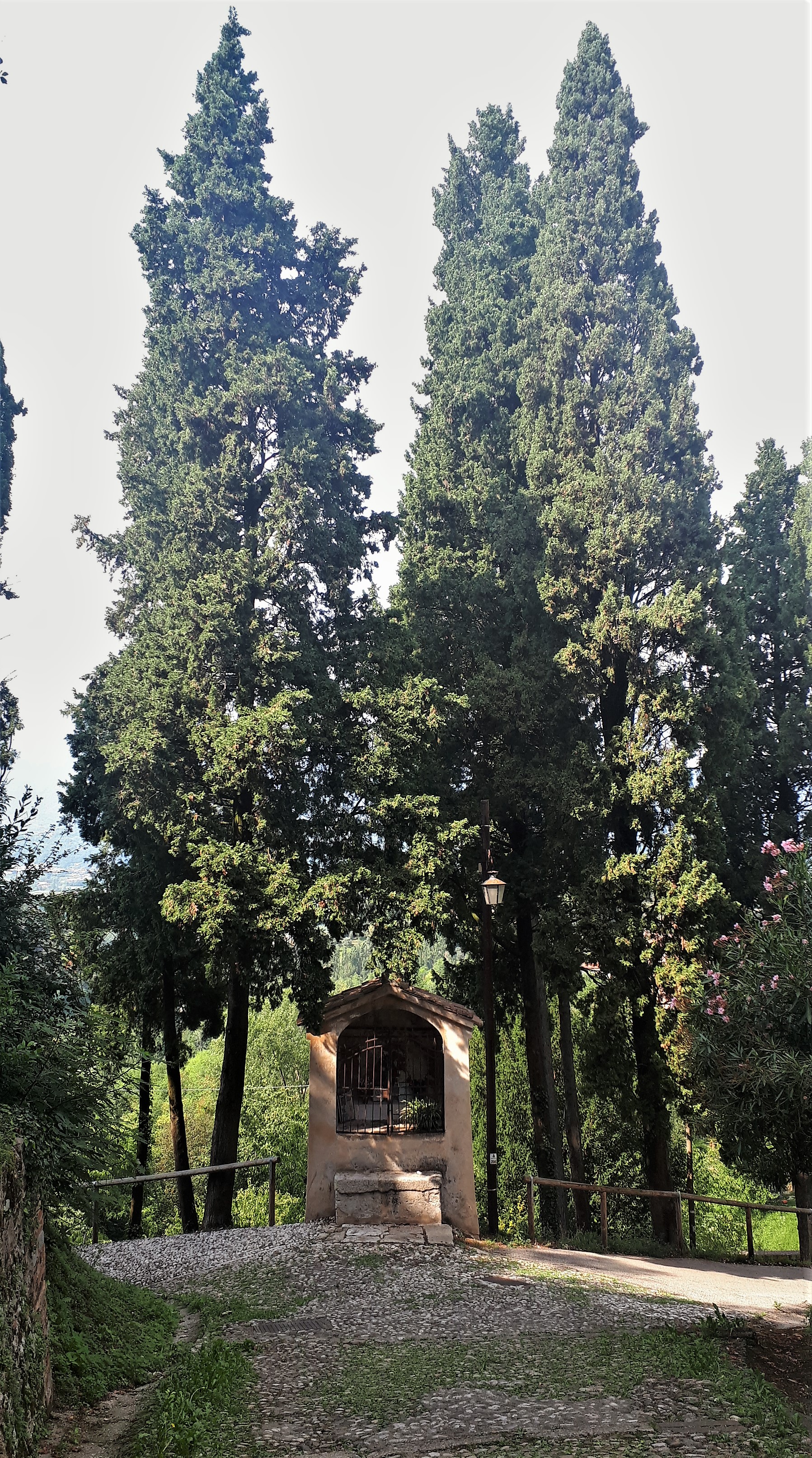 Parco della Rimembranza di Asolo
