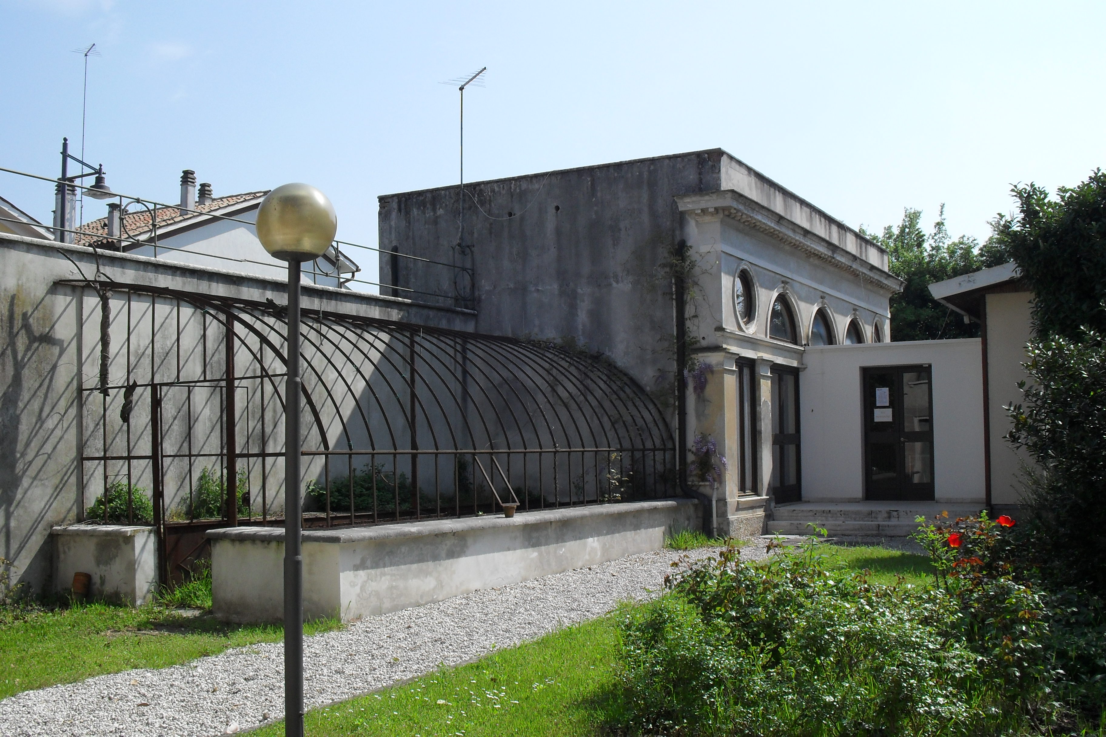 Limonaia