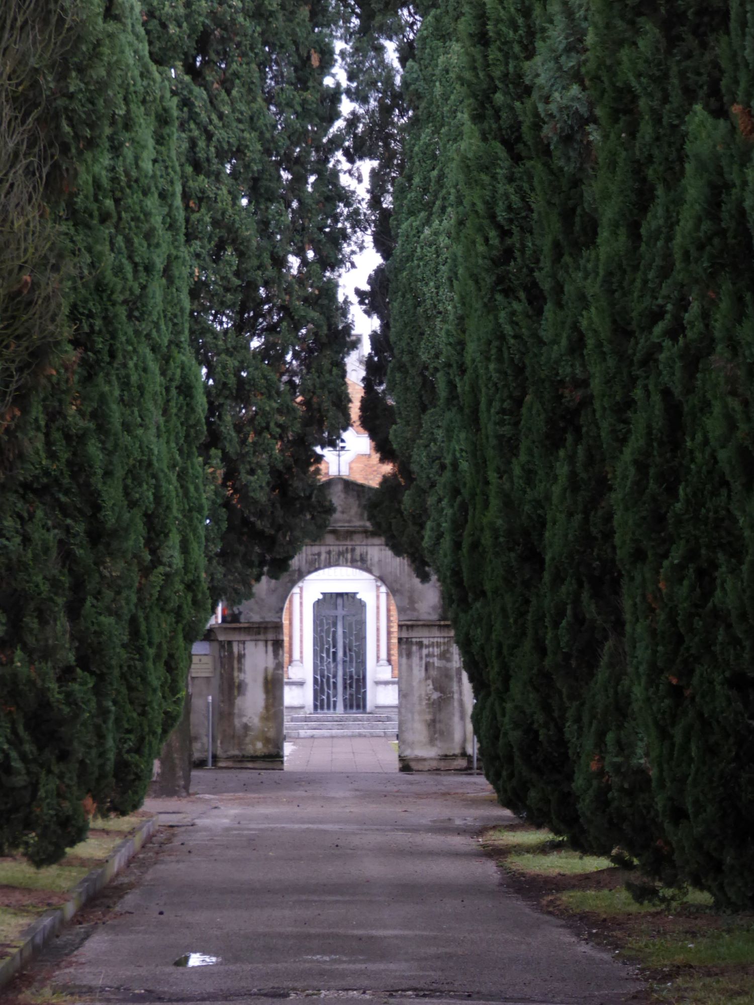 Viale della Rimembranza di Tezze di Piave