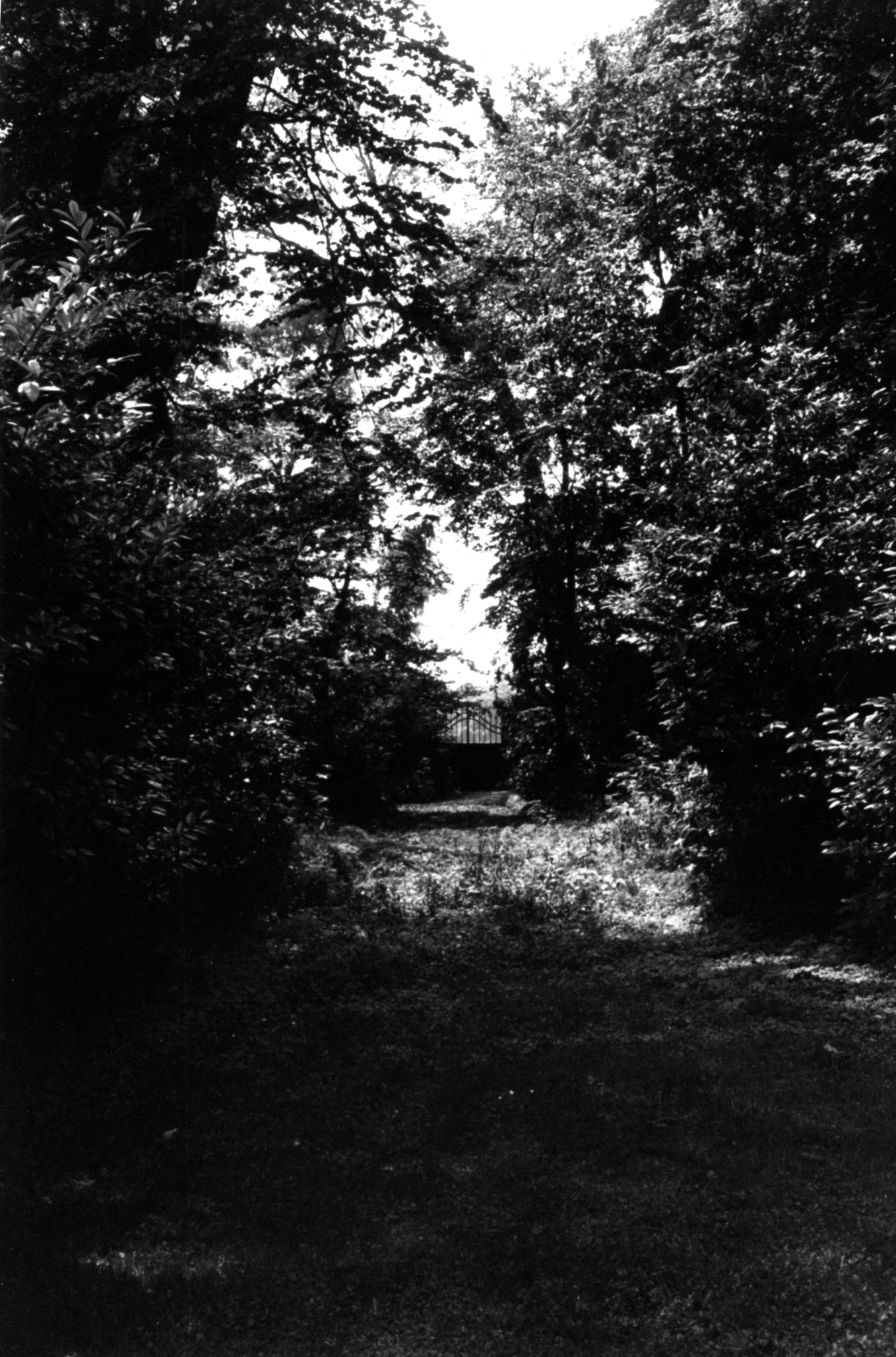 parco di Villa Dotto