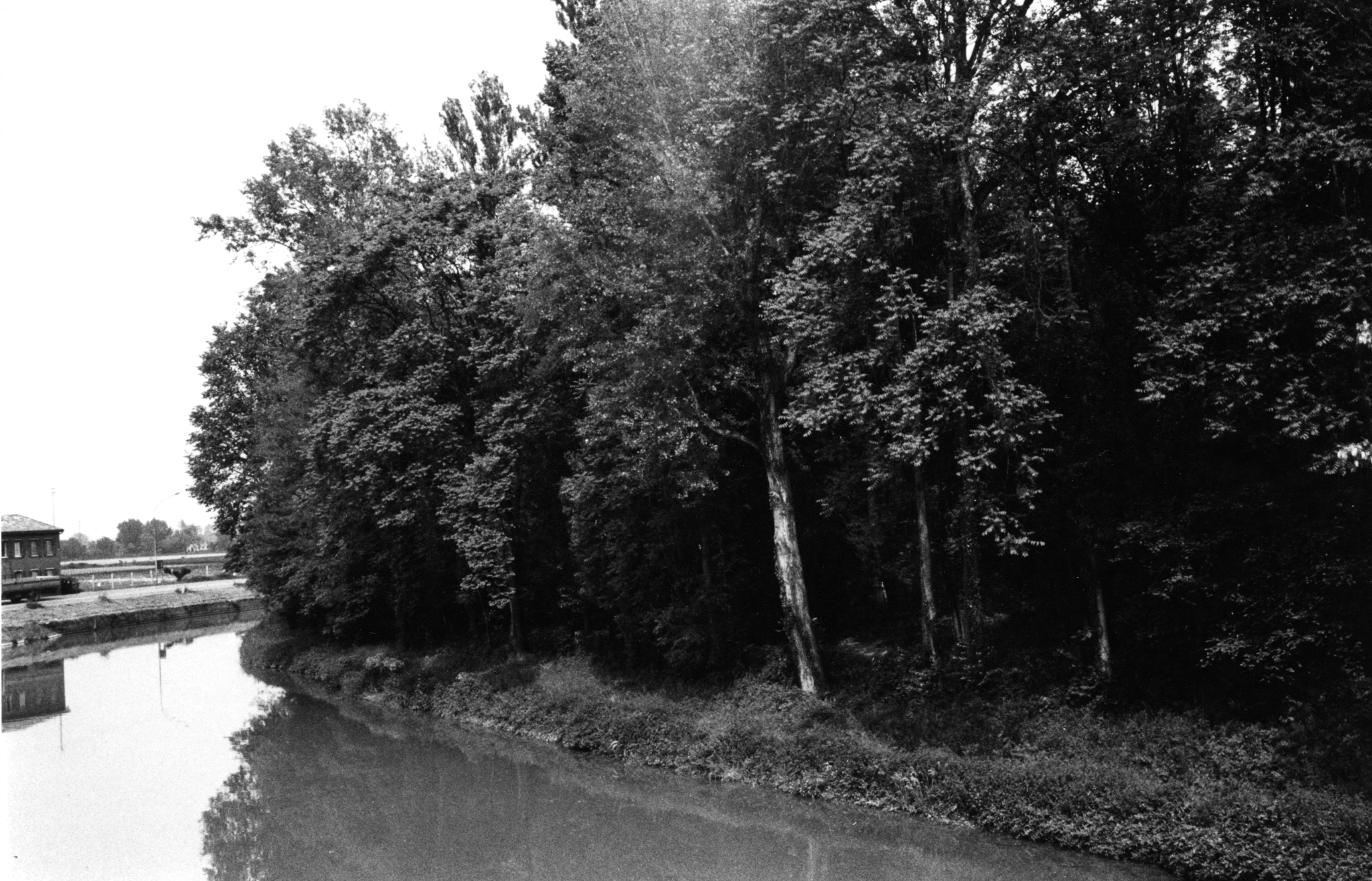 parco di villa Ferretti, poi Doge Manin, ora Angeli
