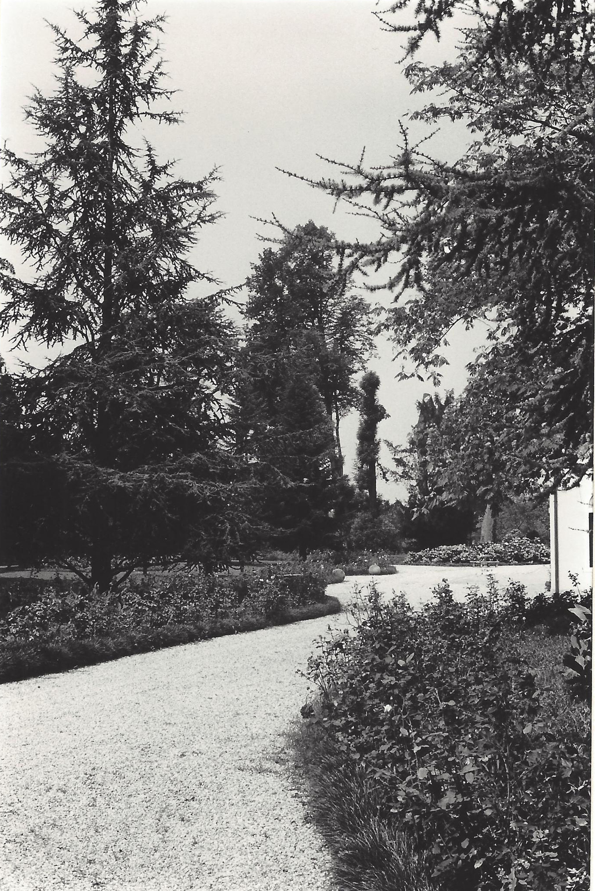 Parco di Villa Contarini co. Dal Zolfo, Fiorazzo ora Golfetto