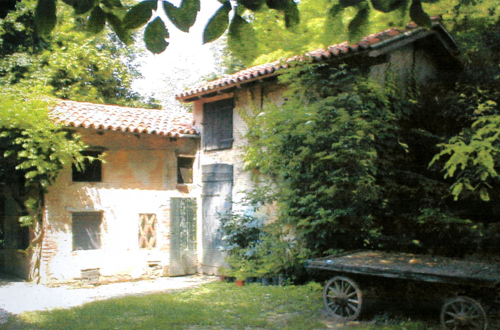 Stalla/magazzino