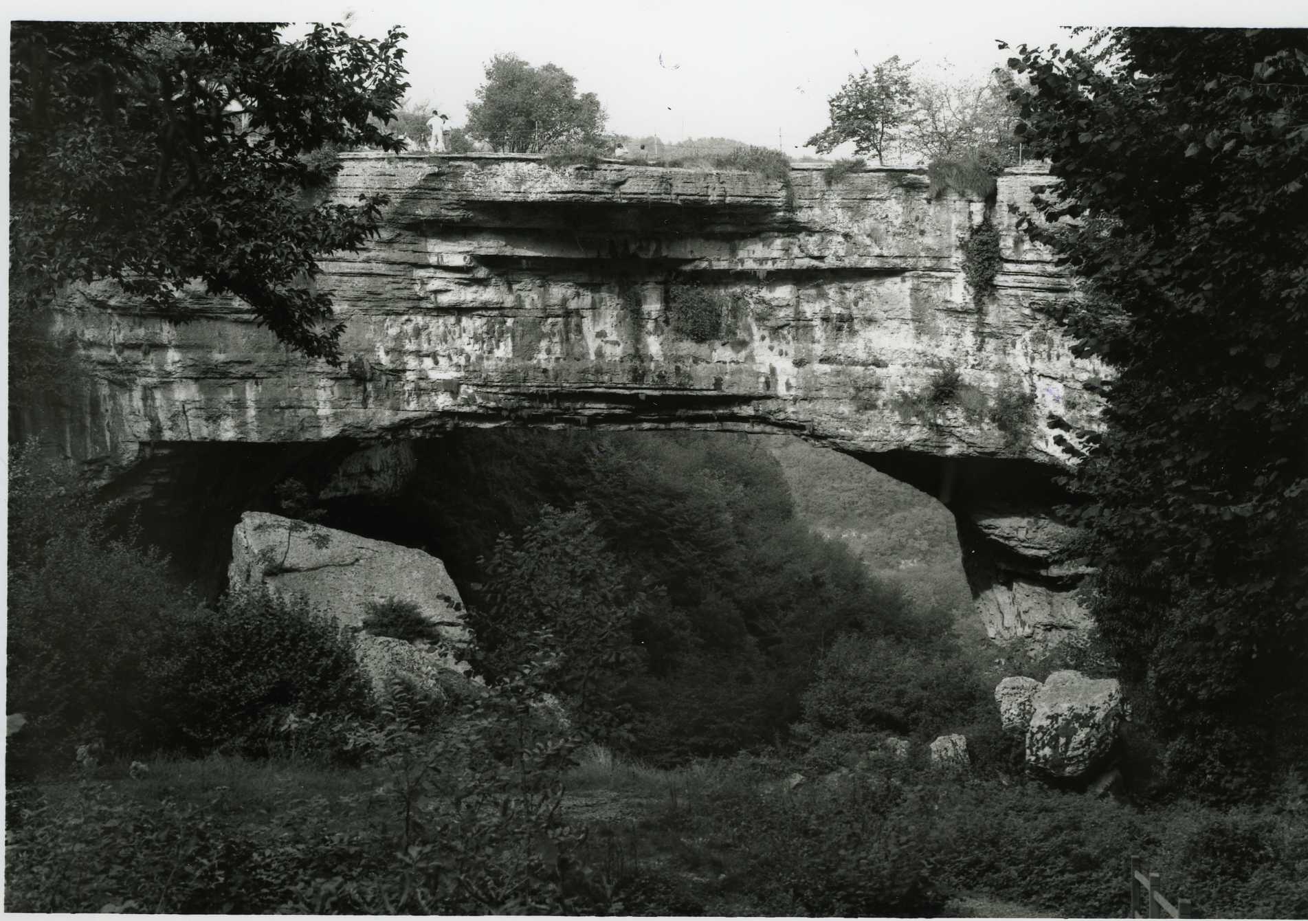ponte di veia