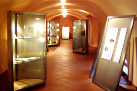 Museo storico archeologico "Giuseppe Gabetti"