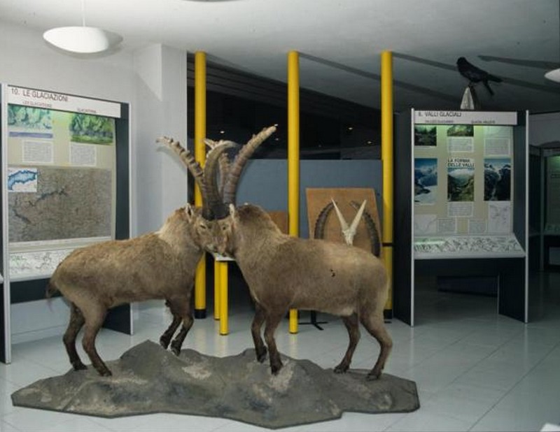 Museo del centro visitatori del Parco nazionale del Gran Paradiso di Noasca