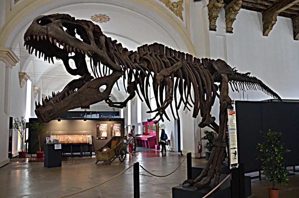 Museo regionale di scienze naturali