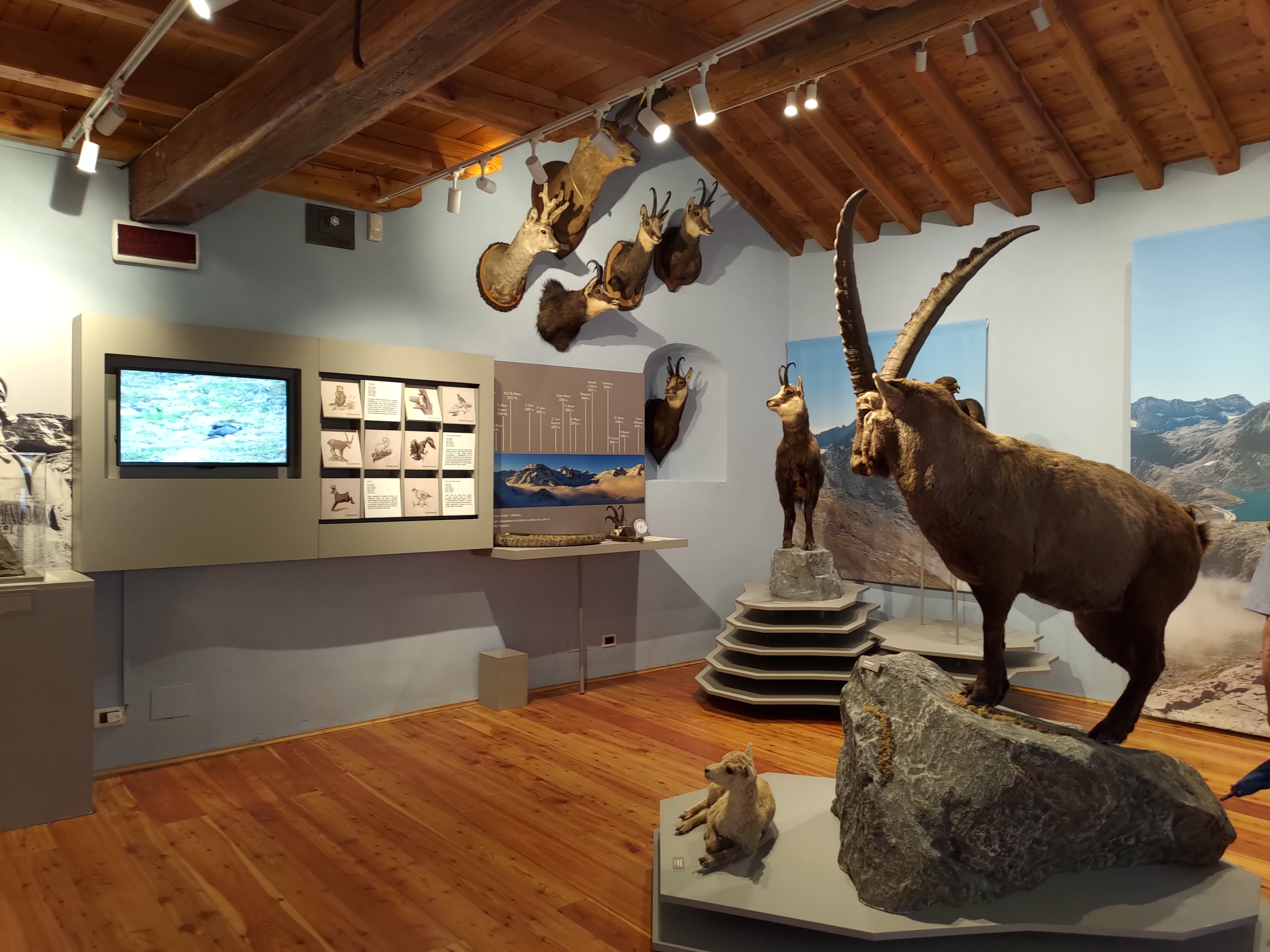 Museo civico alpino "Arnaldo Tazzetti"