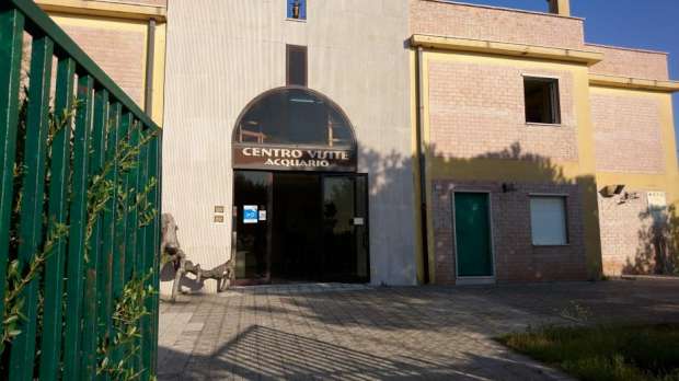 Museo naturalistico del Comune di Lesina