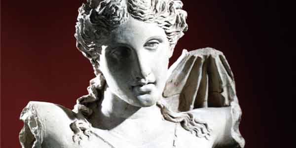 Museo civico "Giuseppe Fiorelli"