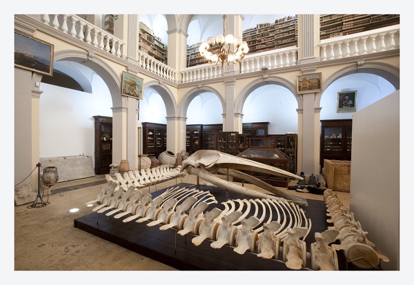 Museo civico "Emanuele Barba"