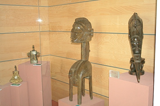 Museo Civico di Paleontologia e Paletnologia “Decio de Lorentiis"