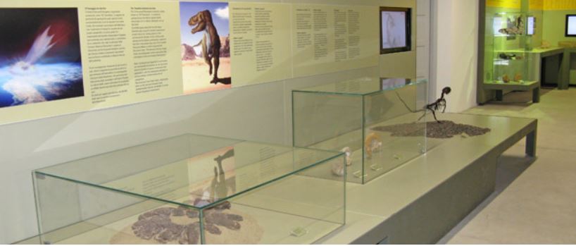 Museo di paleontologia e speleologia "E. A. Martel"
