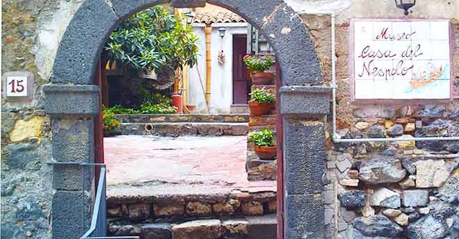 Museo "Casa del nespolo"