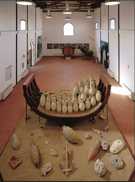 Museo regionale di storia naturale e mostra permanente del carretto siciliano
