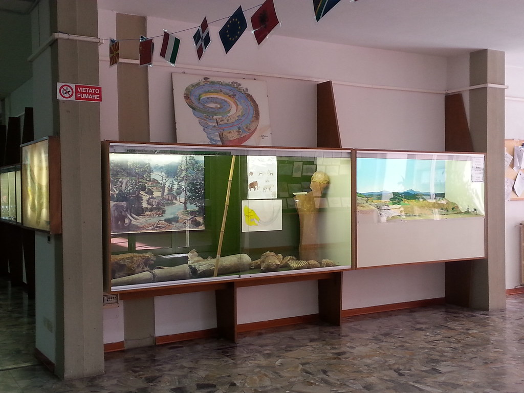 Museo paleontologico di Bucine