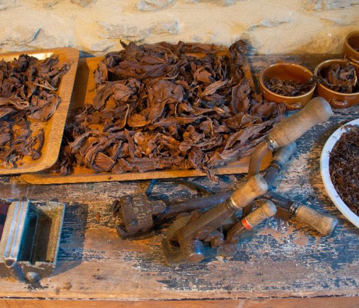 Ecomuseo del contrabbando e della polvere da sparo