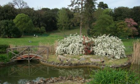 Giardino di Villa Il Ventaglio
