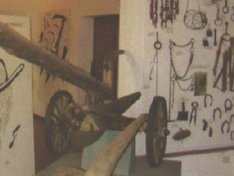 Collezione etnografica Bruno Carmagnini