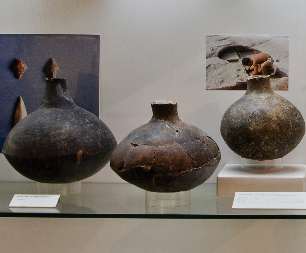 Museo di preistoria e protostoria della Valle del fiume Fiora