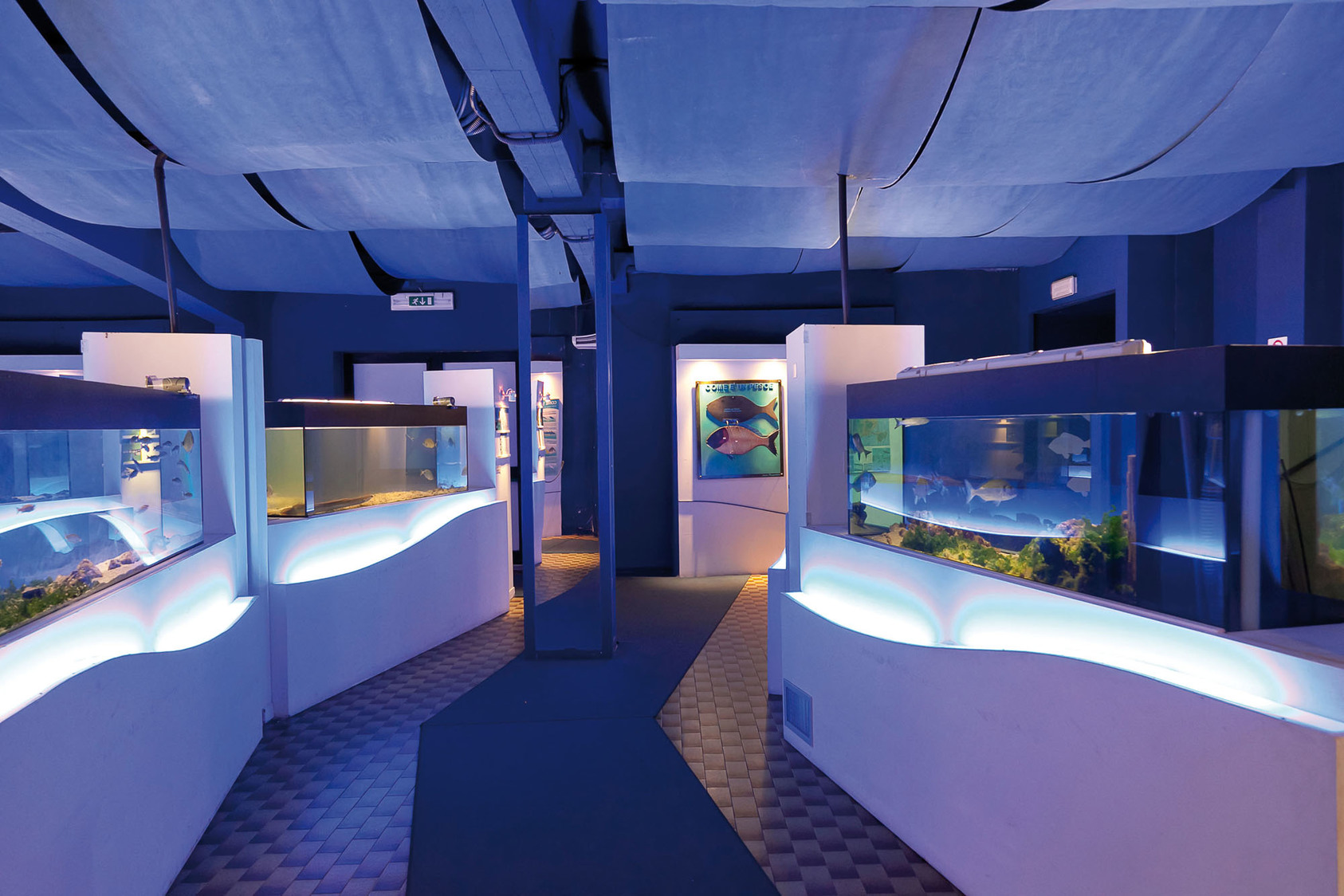 Museo della pesca e delle tradizioni lagunari