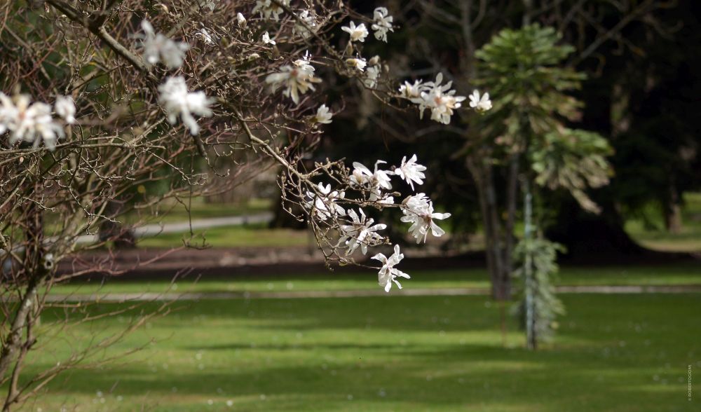 Orto botanico lucchese e Museo botanico Cesare Bicchi