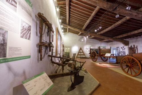 Museo del lavoro e delle tradizioni popolari della Versilia storica