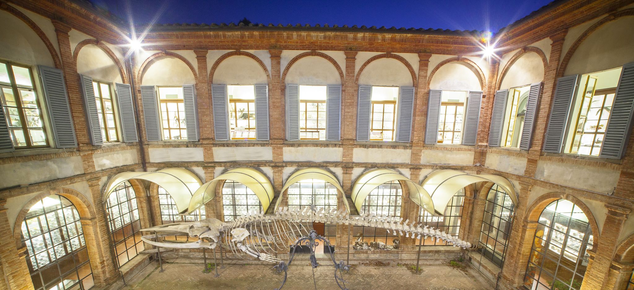 Museo di storia naturale dell'Accademia dei Fisiocritici