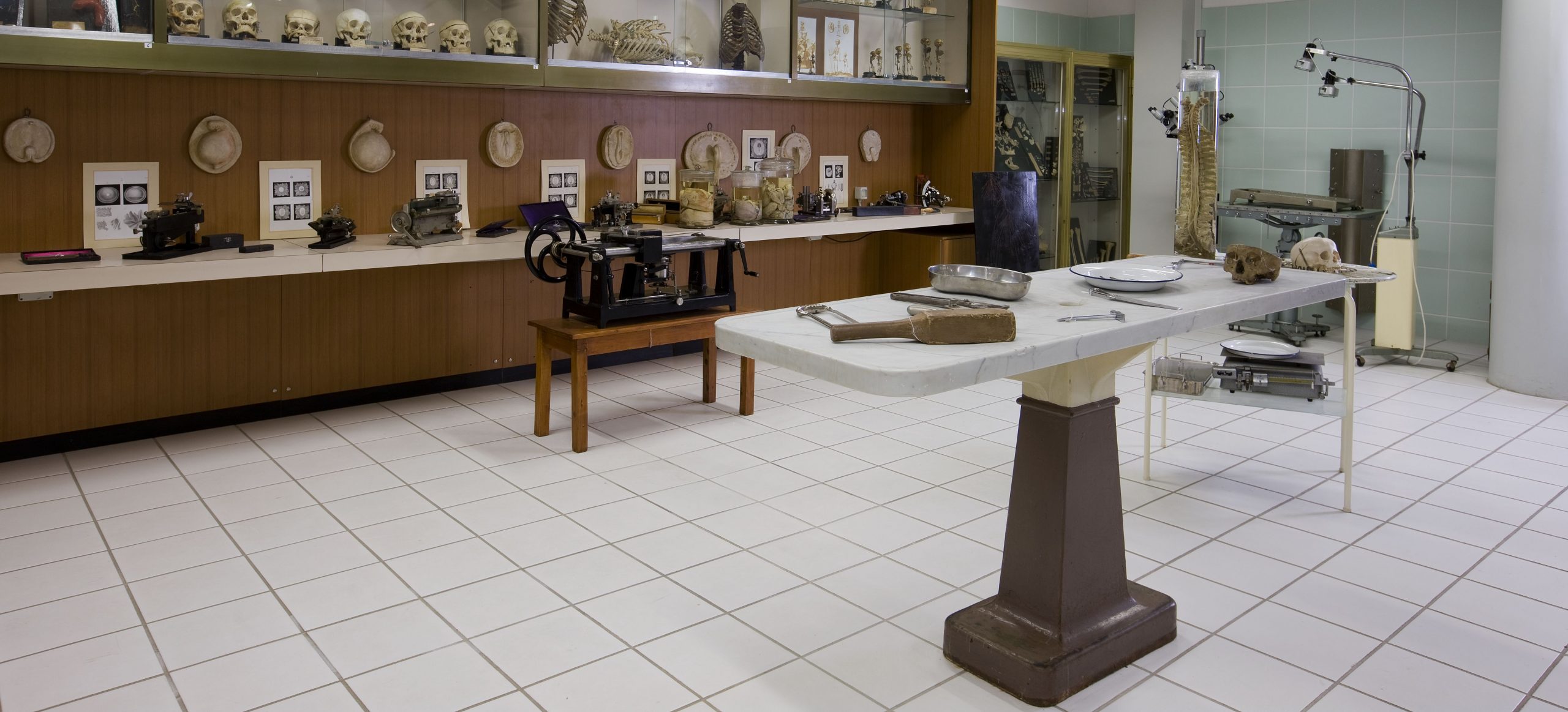 Simus - Cutvap Centro Servizi di Ateneo Tutela e Valorizzazione Antico Patrimonio scientifico Senese
