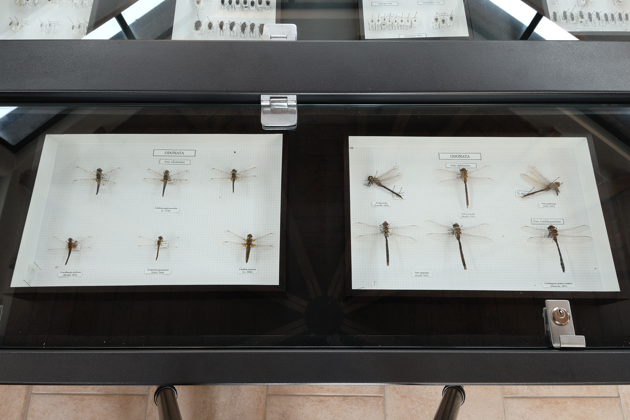 Museo naturalistico del Parco di Colfiorito