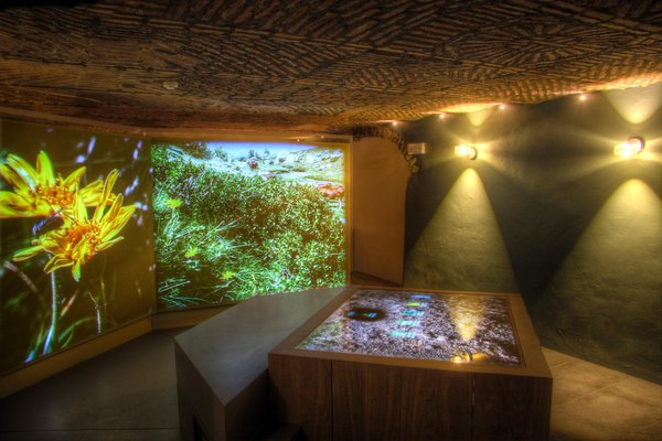 La maison des anciens remèdes - Centro sull'uso delle piante officinali