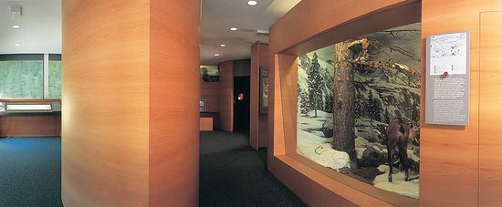 Centro visitatori PNGP - "Spazio Lupo" e "Museo della Lince"