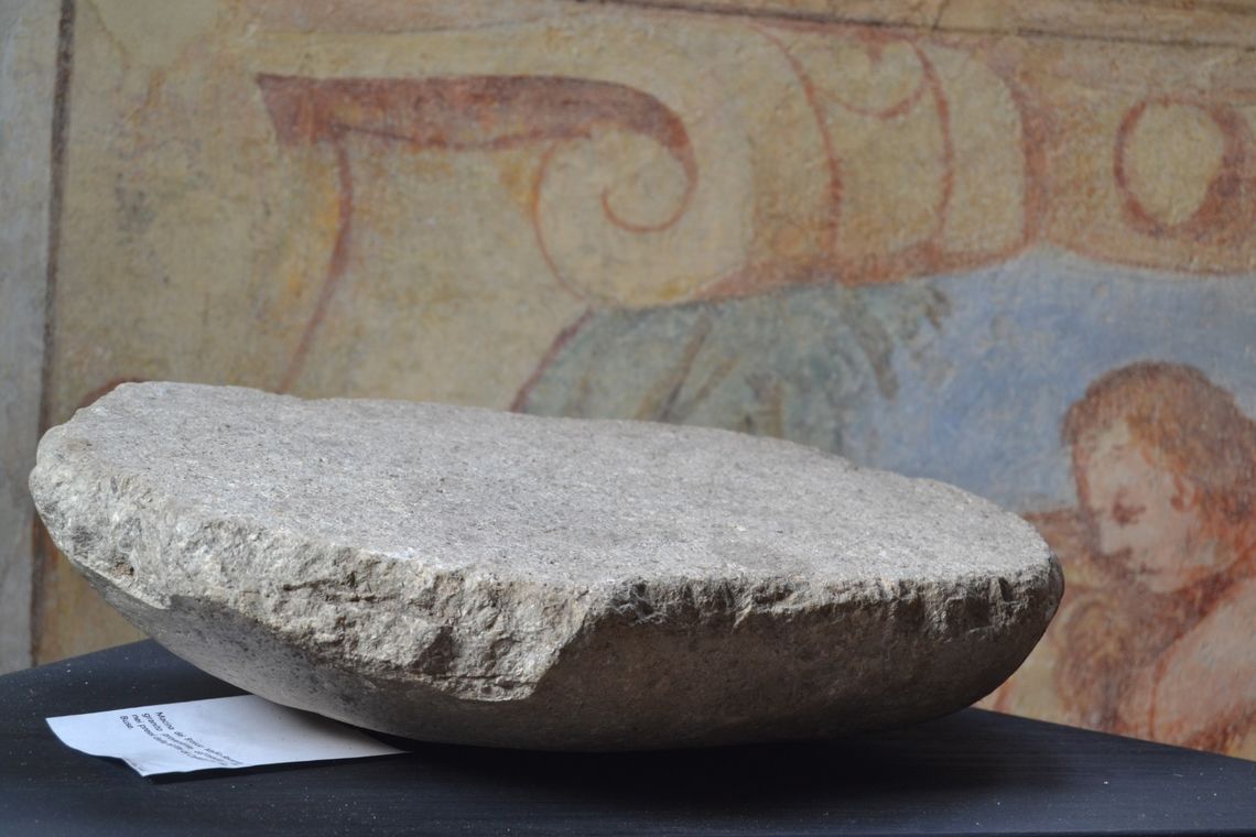 Museo civico Villa Priuli