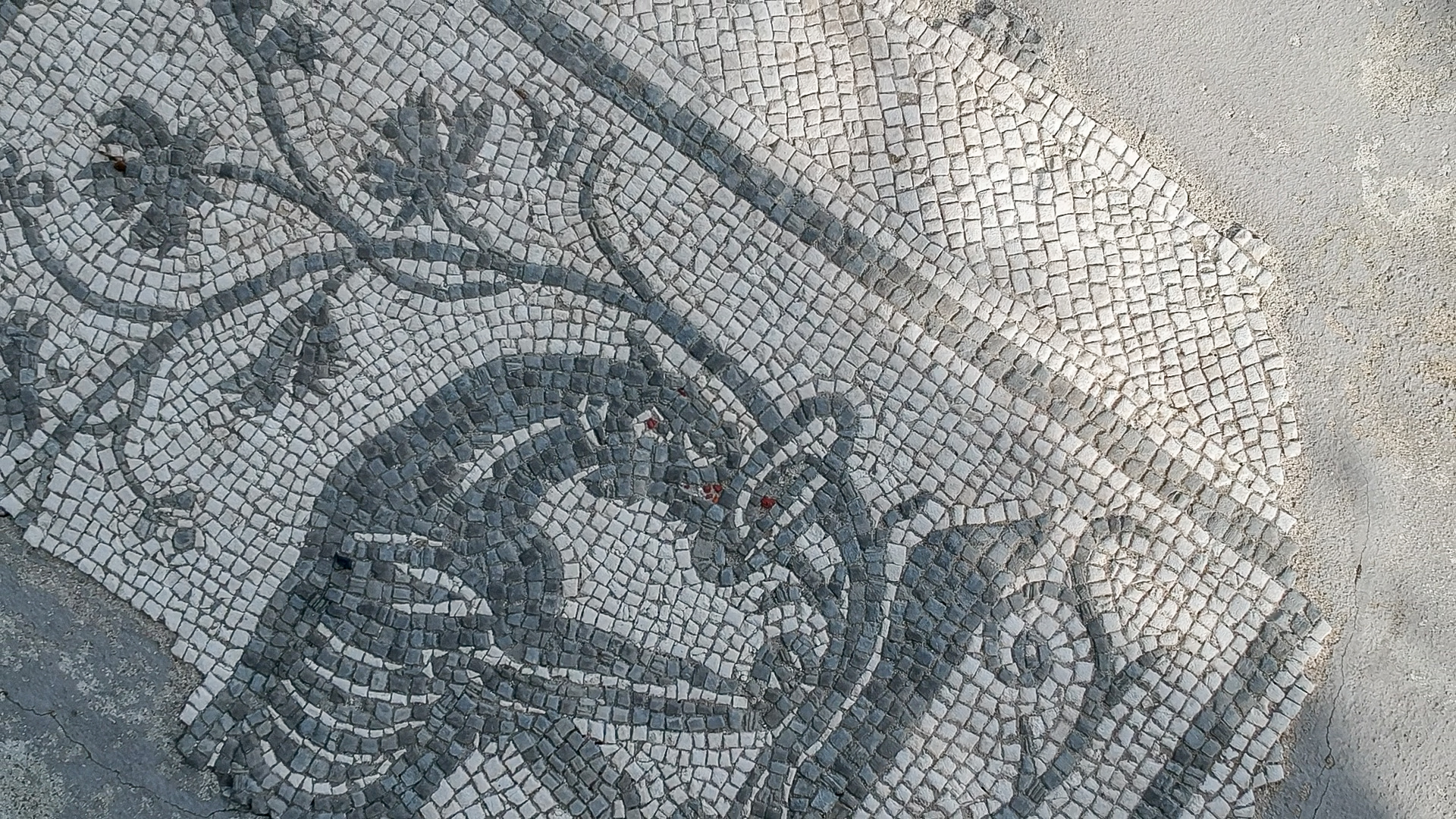 Parco archeologico di Altino