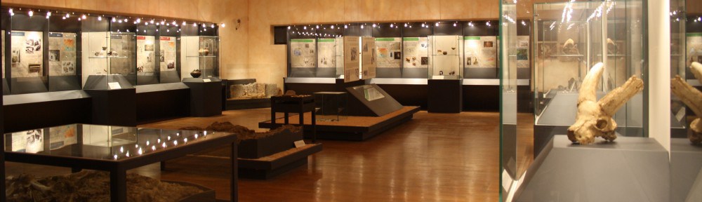 Museo paleontologico e preistorico