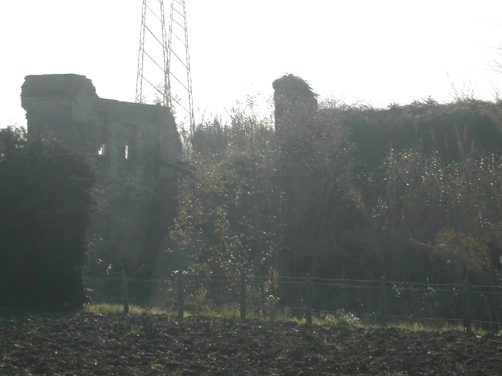 Rovine del Mulino Americano