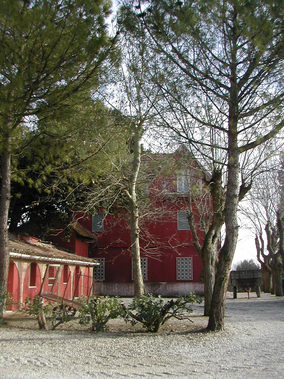 Villa Cosmelli Marotti