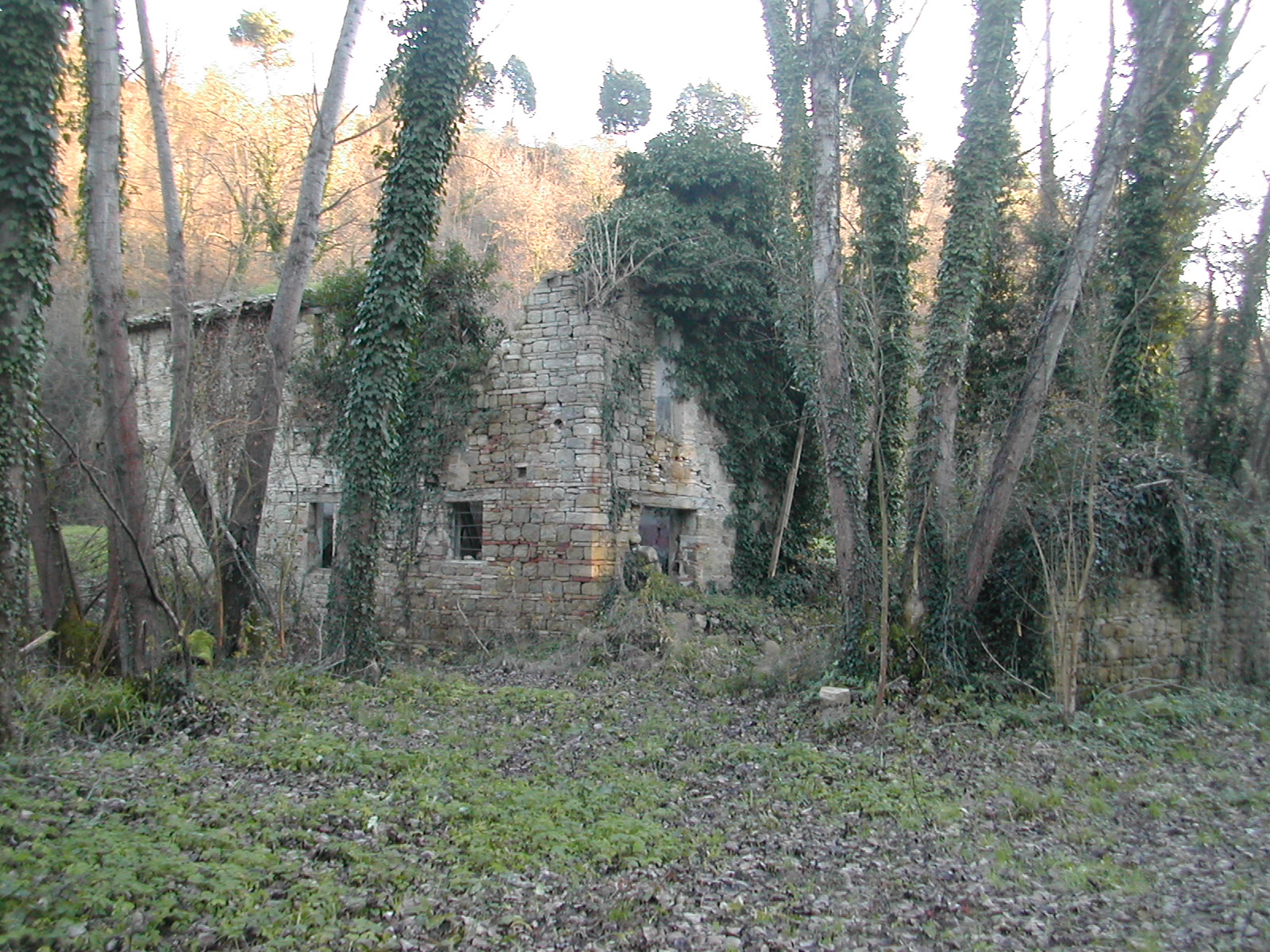 Mulino della Cesola